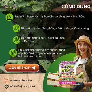 Phân Bón Lá Bông To Hết Cỡ - Siêu Bự Bông 50gram - Phân Bón Cuốc Vàng