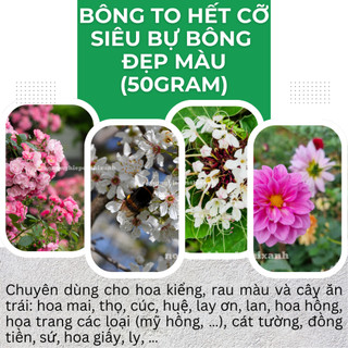 Phân Bón Lá Bông To Hết Cỡ - Siêu Bự Bông 50gram - Phân Bón Cuốc Vàng