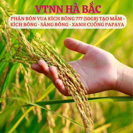 Phân Bón Lá Vua Kích Bông 777 (Gói 50gram) Tạo Mầm Hoa - Kích Bông