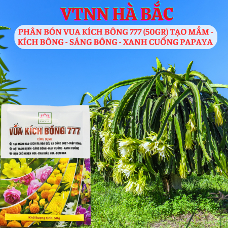 Phân Bón Lá Vua Kích Bông 777 (Gói 50gram) Tạo Mầm Hoa - Kích Bông
