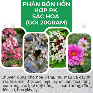 Phân bón hỗn hợp PK sắc hoa (gói 20gram) Long Phú giúp mập nụ to bông, đẹp màu tươi lâu, bông sáng