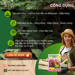 Phân bón hỗn hợp PK sắc hoa (gói 20gram) Long Phú giúp mập nụ to bông, đẹp màu tươi lâu, bông sáng