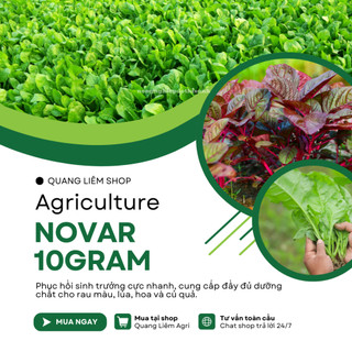 Phân bón lá siêu dinh dưỡng Novar Micro (10gram), giúp cây phát triển, cung cấp vi lương dưỡng chất