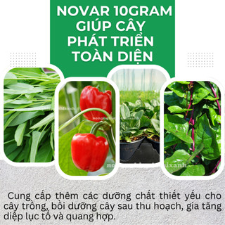 Phân bón lá siêu dinh dưỡng Novar Micro (10gram), giúp cây phát triển, cung cấp vi lương dưỡng chất