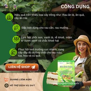 Phân bón lá siêu dinh dưỡng Novar Micro (10gram), giúp cây phát triển, cung cấp vi lương dưỡng chất