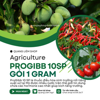 Thuốc Điều Hòa Sinh Trưởng Progibb 10sp Tân Quy Ngân Anh - Gói 1 Gram