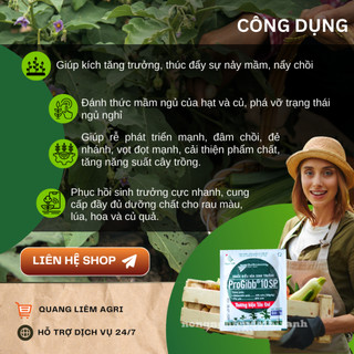 Thuốc Điều Hòa Sinh Trưởng Progibb 10sp Tân Quy Ngân Anh - Gói 1 Gram