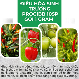 Thuốc Điều Hòa Sinh Trưởng Progibb 10sp Tân Quy Ngân Anh - Gói 1 Gram