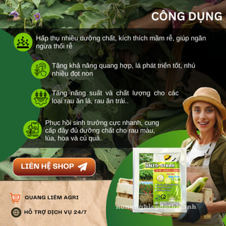 Phân bón lá HN15 Super Green (gói 30gram) - Phân bón Vọt đọt, mập thân, to lá