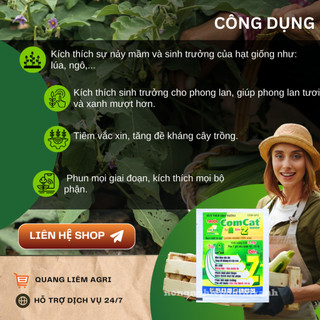 Thuốc kích thích sinh trưởng COMCAT 150WP A-Z Lúa Vàng (gói 7.55gram)