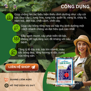 Phân Bón Lá Trung Vi Lượng Cambi Nhật (40gram), nhập khẩu Mỹ với dinh dưỡng tốt nhất