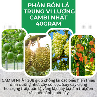 Phân Bón Lá Trung Vi Lượng Cambi Nhật (40gram), nhập khẩu Mỹ với dinh dưỡng tốt nhất