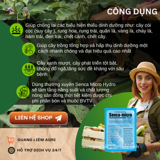 Phân bón vi lượng Senca Micro Hydro 100% Chelate (2.5gram) - Hạn chế vàng lá, si cây, nám quả