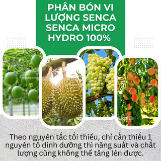 Phân bón vi lượng Senca Micro Hydro 100% Chelate (2.5gram) - Hạn chế vàng lá, si cây, nám quả