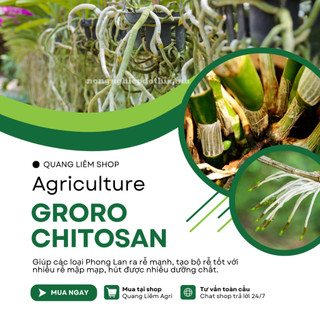 Phân bón lá Groro Chitosan 1 kích rễ cực mạnh - Gói 10ml Long Sinh, tạo bộ rễ khỏe, nảy mầm tốt