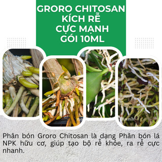 Phân bón lá Groro Chitosan 1 kích rễ cực mạnh - Gói 10ml Long Sinh, tạo bộ rễ khỏe, nảy mầm tốt