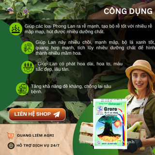 Phân bón lá Groro Chitosan 1 kích rễ cực mạnh - Gói 10ml Long Sinh, tạo bộ rễ khỏe, nảy mầm tốt