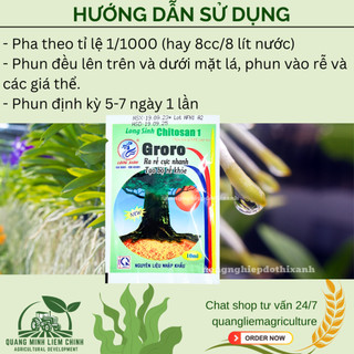 Phân bón lá Groro Chitosan 1 kích rễ cực mạnh - Gói 10ml Long Sinh, tạo bộ rễ khỏe, nảy mầm tốt