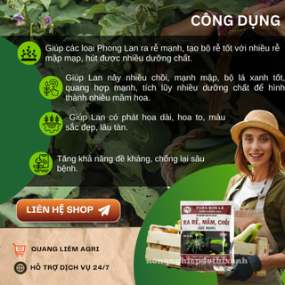 Phân bón kích ra mầm, chồi, rễ cực mạnh TOPONSU (gói 20gram) - cây cắt cành, ghép, giâm, kích ra rễ