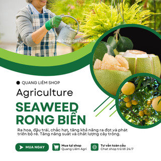 Phân Bón Lá Hữu Cơ SEAWEED - Rong Biển 95% Hữu Cơ, Đậu Trái, Chắc Hạt, Ra Đọt (gói 10gram)