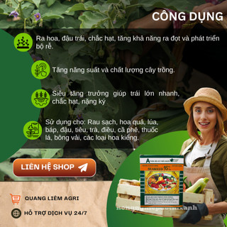 Phân Bón Lá Hữu Cơ SEAWEED - Rong Biển 95% Hữu Cơ, Đậu Trái, Chắc Hạt, Ra Đọt (gói 10gram)