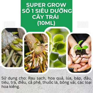 Phân Bón Lá Hữu Cơ SEAWEED - Rong Biển 95% Hữu Cơ, Đậu Trái, Chắc Hạt, Ra Đọt (gói 10gram)