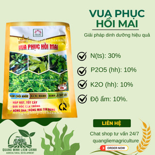 Phân Bón Lá Vua Phục Hồi Mai Đâm Chồi, Ra Rễ, Xanh Lá Dày Lá (Gói 25gram)