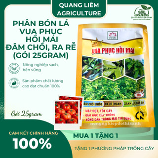 Phân Bón Lá Vua Phục Hồi Mai Đâm Chồi, Ra Rễ, Xanh Lá Dày Lá (Gói 25gram)