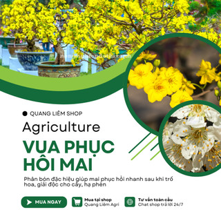 Phân Bón Lá Vua Phục Hồi Mai Đâm Chồi, Ra Rễ, Xanh Lá Dày Lá (Gói 25gram)