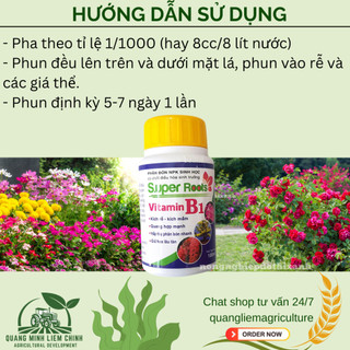 Chế phẩm Vitamin B1 Super Roots  kích rễ bật mầm - chai 100ml, giữ hoa lâu tàn cho cây cảnh hoa lan