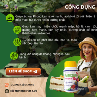 Chế phẩm Vitamin B1 Super Roots  kích rễ bật mầm - chai 100ml, giữ hoa lâu tàn cho cây cảnh hoa lan