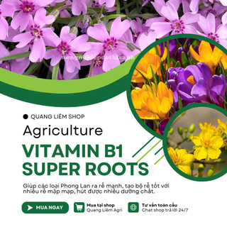 Chế phẩm Vitamin B1 Super Roots  kích rễ bật mầm - chai 100ml, giữ hoa lâu tàn cho cây cảnh hoa lan