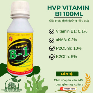 Phân Bón Lá HVP Vitamin B1 đậm đặc  Cao Cấp - kích rễ bật mầm chai 100ml, giúp điều hoà sinh trưởng