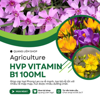 Phân Bón Lá HVP Vitamin B1 đậm đặc  Cao Cấp - kích rễ bật mầm chai 100ml, giúp điều hoà sinh trưởng