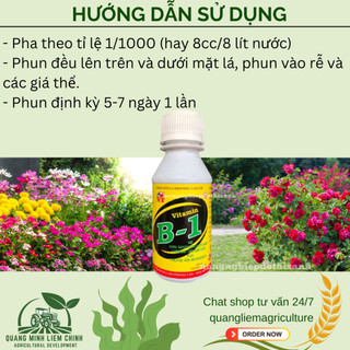 Phân Bón Lá HVP Vitamin B1 đậm đặc  Cao Cấp - kích rễ bật mầm chai 100ml, giúp điều hoà sinh trưởng