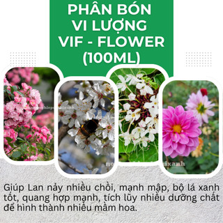 Phân Bón Vi Lượng Acid Amin Vif-Flower - Thúc Đẩy Ra Hoa Nuôi Hoa (100ml)