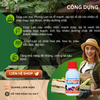 Phân Bón Vi Lượng Acid Amin Vif-Flower - Thúc Đẩy Ra Hoa Nuôi Hoa (100ml)