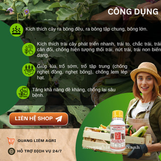 Phân bón lá AMINO QUELANT-05 Bo đạm sinh học  tăng thụ phấn, đậu quả, chống rụng trái non (100ml)