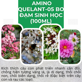 Phân bón lá AMINO QUELANT-05 Bo đạm sinh học  tăng thụ phấn, đậu quả, chống rụng trái non (100ml)