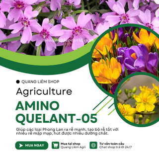 Phân bón lá AMINO QUELANT-05 Bo đạm sinh học  tăng thụ phấn, đậu quả, chống rụng trái non (100ml)