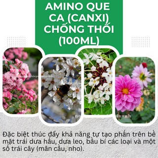 Phân Bón Lá Amino Quelant Ca (Canxi) Chống Thối , Nứt Trái, Kích Thích Trái Phát Triển (100ml)