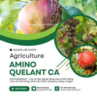 Phân Bón Lá Amino Quelant Ca (Canxi) Chống Thối , Nứt Trái, Kích Thích Trái Phát Triển (100ml)