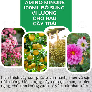 Phân Bón Lá Vi Lượng Amino Minors (Chai 100ml) - Bổ sung vi lượng cho rau, cây ăn trái