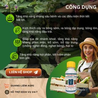 Phân Bón Lá Vi Lượng Amino Minors (Chai 100ml) - Bổ sung vi lượng cho rau, cây ăn trái