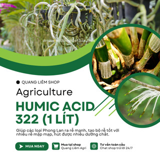 Phân Bón Hữu Cơ Acid Humic 322 Vàng Mỹ - Kích Rễ - Giải Độc - Cải Tạo Đất (Chai 1 Lít)