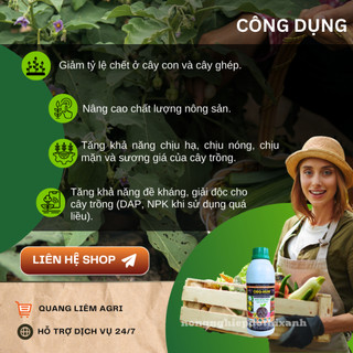 Phân Bón Lá Org-Hum 1 Lít Bổ Sung Humic Acid Và Fulvic Acid (Chai 1 Lít) Hoa Lan Hoa Hồng Cây Kiểng