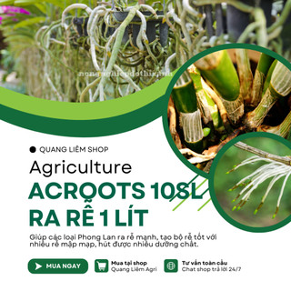 Thuốc kích rễ ACROOTS 10SL Chai 1Lít – Phân Bón Lá Siêu Kích Rễ, Đẻ Nhánh
