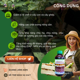 Thuốc kích rễ ACROOTS 10SL Chai 1Lít – Phân Bón Lá Siêu Kích Rễ, Đẻ Nhánh