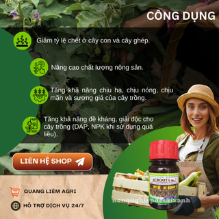 Thuốc kích rễ ACROOTS 10SL Chai 100ML – Phân Bón Lá Siêu Kích Rễ, Đẻ Nhánh