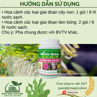 Phân Bón NPK Vi Lượng Micro Green 16-31-16 Tạo Mầm Hoa Cực Mạnh - Hũ 100gram
